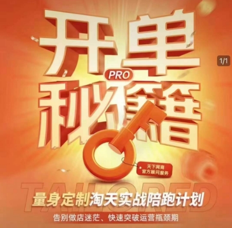 淘宝开单秘籍PRO，量身定制淘天实战陪跑计划，告别做店迷茫、快速突破运营瓶颈期(更新)-网创社