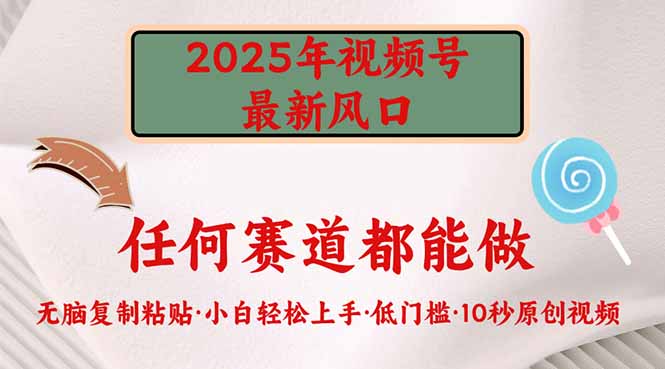 2025年视频号新风口，低门槛只需要无脑执行-网创社