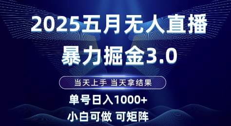 2025五月无人直播暴力掘金3.0，当天上手，当天拿结果，单号日入1k+小白可做可矩阵【揭秘】-网创社