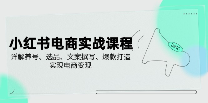 小红书电商实战课程，详解养号、选品、文案撰写、爆款打造，实现电商变现-网创社