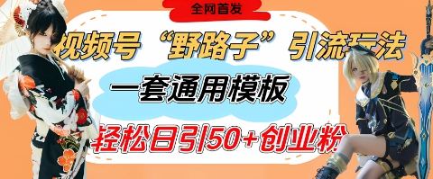 视频号“野路子”玩法，评论区疯狂截流，一套模板单日单号引流50+创业粉-网创社