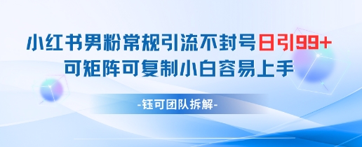 小红书男粉常规引流不封号日引99+变现简单 可矩阵可复制小白容易上手-网创社