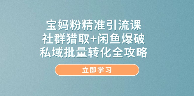 宝妈粉精准引流课，社群猎取+闲鱼爆破，私域批量转化全攻略-网创社