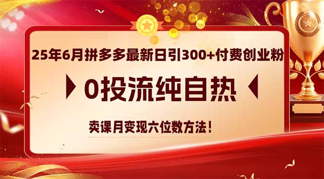 25年6月拼多多最新日引300+付费创业粉，0投流纯自热 卖课月变现六位数方法-网创社