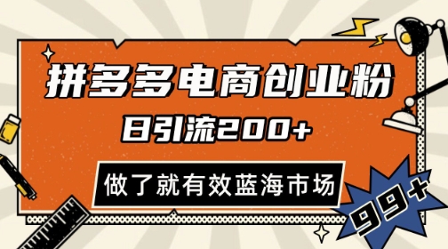 拼多多引流电商创业粉，日引200+，可矩阵放大，做了就有效【揭秘】-网创社