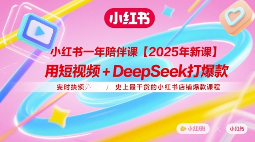 小红书一年陪伴课【2025年新课】，用短视频+deepSeek打爆款，史上最干货的小红书店铺爆款课程-网创社