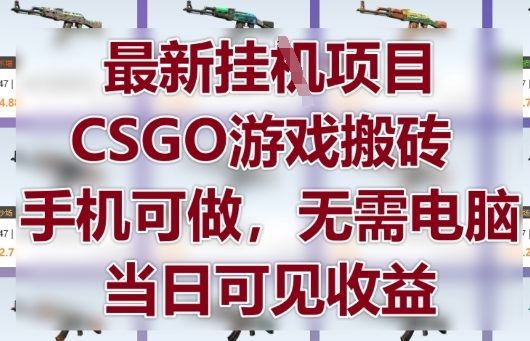 最新挂G项目，CSGO游戏搬砖，手机可做，无需电脑，当日见收益【揭秘】-网创社