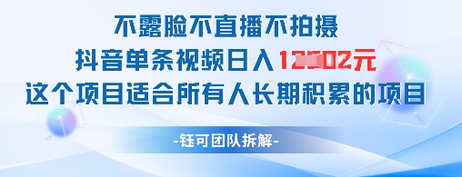 不露脸不直播不拍摄抖音单条视频日入1k+这个项目适合所有人长期积累的项目-网创社