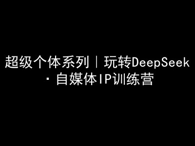 超级个体系列，玩转DeepSeek·自媒体IP训练营，deepseek教程-网创社